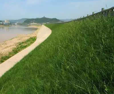 生態(tài)混凝土植生河道護(hù)坡