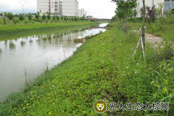 生態(tài)混凝土護坡河道護坡