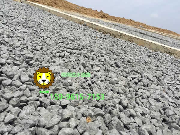 生態(tài)透水混凝土植生砼護坡施工