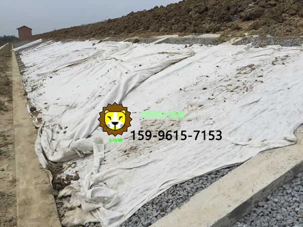 生態(tài)透水混凝土植生砼護坡施工