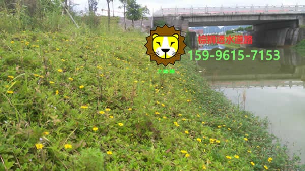生態(tài)透水混凝土植生砼護坡施工