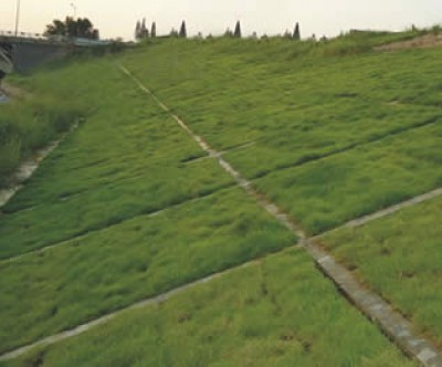 來賓生態(tài)混凝土植生護(hù)坡