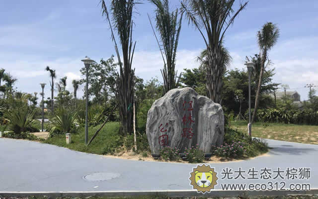 海南三亞透水混凝土鋪裝案例