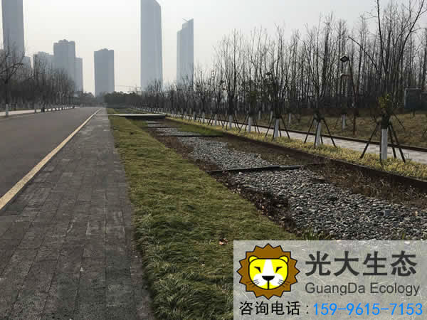 江蘇紫金山透水鋪裝案例