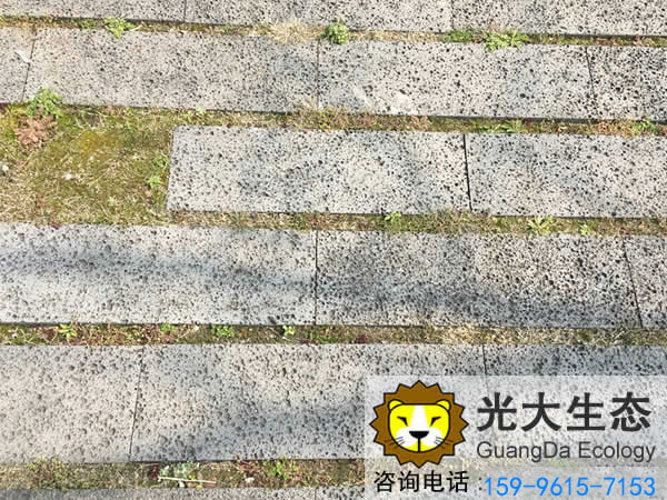 江蘇紫金山透水鋪裝案例